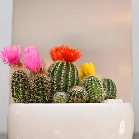 Lejlighed Cozy Steps From Metro Station *